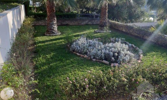 650 m2 - 4069 - photo-9