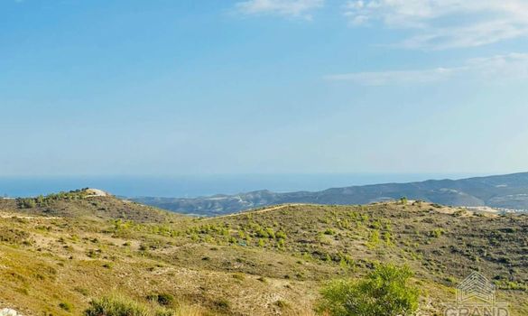 4103 - photo-1