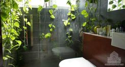 100 m2 - 4124 - photo-9