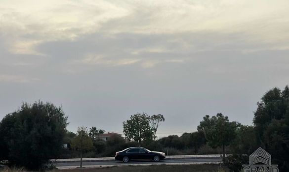 4135 - photo-4