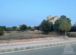 4135 - photo-3