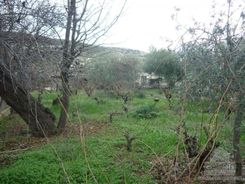 85 m2 - 4336 - photo-3
