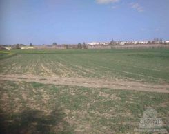 4338 - photo-2