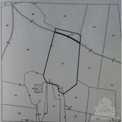 4338 - photo-3