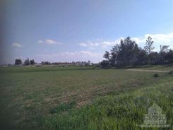 4338 - photo-1
