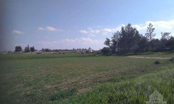 4338 - photo-1