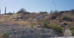 40 m2 - 4373 - photo-3