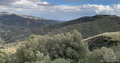 4384 - photo-1