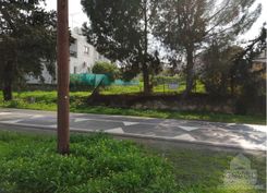 m2 - 4409 - photo-2