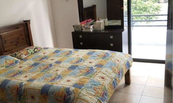 250 m2 - 4451 - photo-15