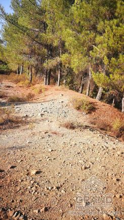 m2 - 4473 - photo-1