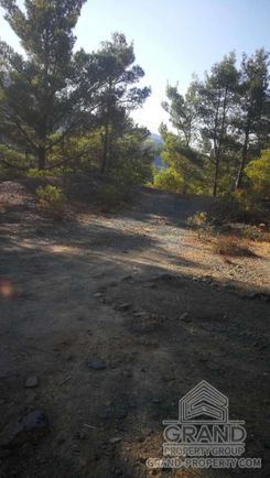 m2 - 4473 - photo-2