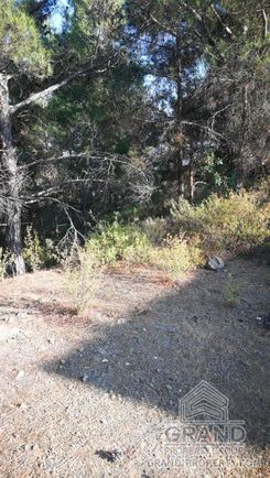 m2 - 4473 - photo-3