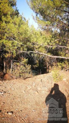 m2 - 4473 - photo-4