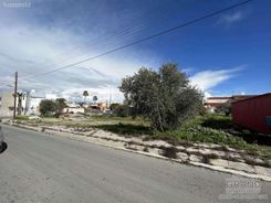 4479 - photo-2