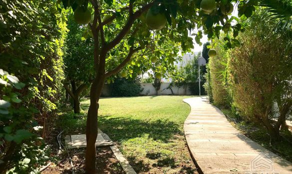 580 m2 - 4501 - photo-11