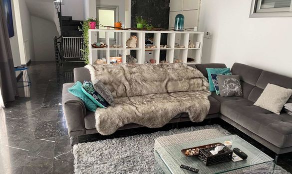 380 m2 - 4504 - photo-8