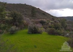 m2 - 4538 - photo-1