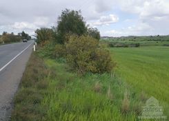 m2 - 4586 - photo-2