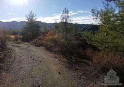 4601 - photo-3