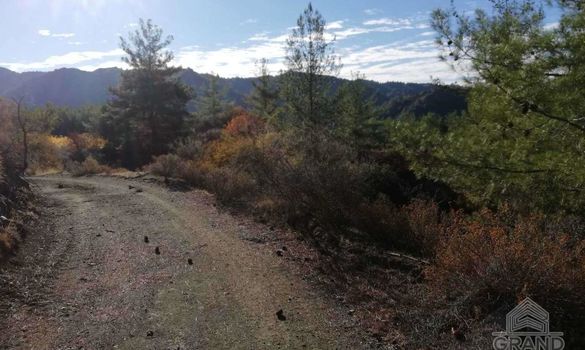 4601 - photo-3