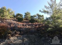 4601 - photo-4