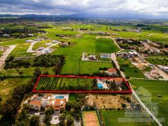 284 m2 - 4613 - photo-6