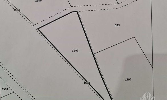 m2 - 4621 - photo-1