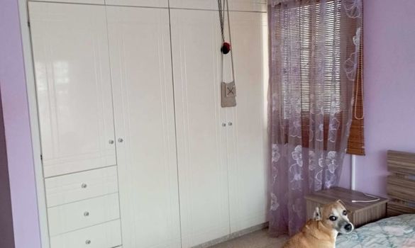 82 m2 - 4639 - photo-4