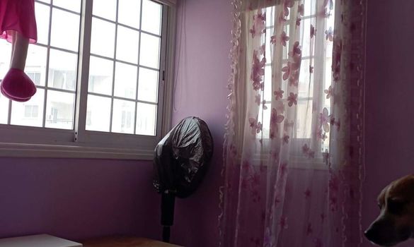 82 m2 - 4639 - photo-5