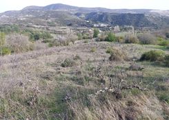 m2 - 4706 - photo-5