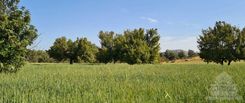 m2 - 4862 - photo-4