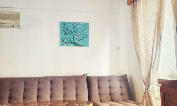 50 m2 - 4953 - photo-3