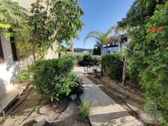 250 m2 - 4960 - photo-10
