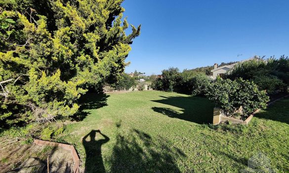 250 m2 - 4960 - photo-11