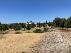 4981 - photo-6