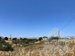 4981 - photo-8