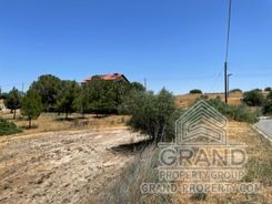 4981 - photo-10
