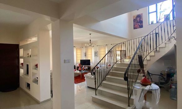 350 m2 - 4993 - photo-7