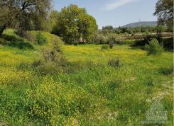 m2 - 5001 - photo-1