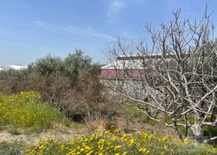 6500 m2 - 5071 - photo-9