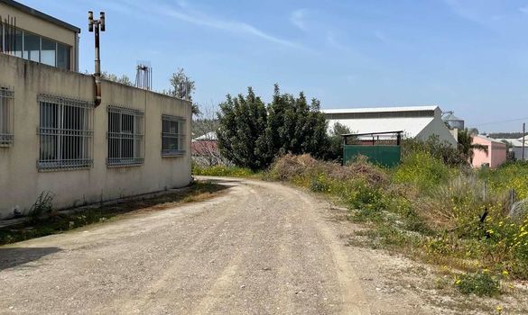 6500 m2 - 5071 - photo-3