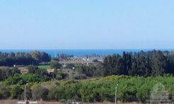 240 m2 - 5746 - photo-3