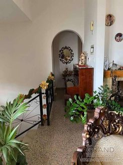 280 m2 - 5885 - photo-7