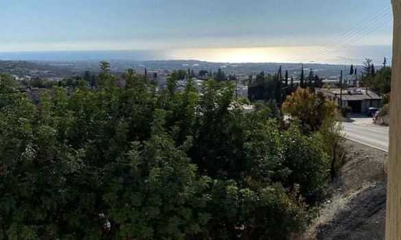 280 m2 - 5885 - photo-14