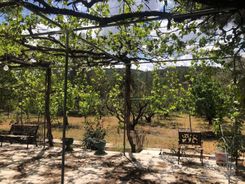 120 m2 - 5924 - photo-9