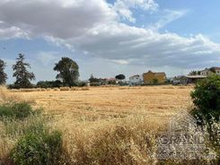 6006 - photo-1