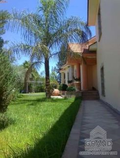 380 m2 - 6057 - photo-3
