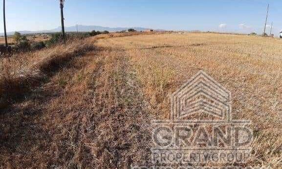 m2 - 6099 - photo-1