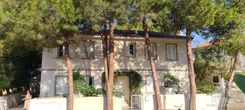 272 m2 - 6289 - photo-1